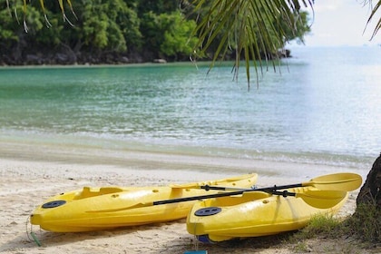 Guided Kayak Tour from Elysian