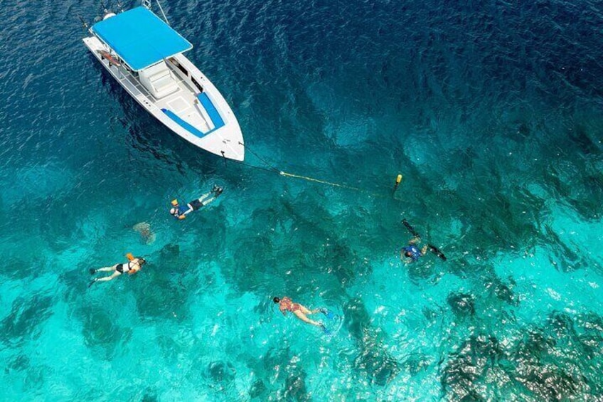 Enjoy our boat and discover the best snorkeling spots!