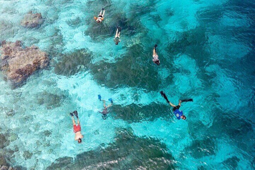 The reef is everywhere.