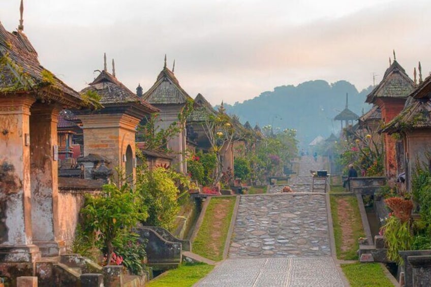 Bali Tour: Water Temple, Penglipuran Village and Waterfall