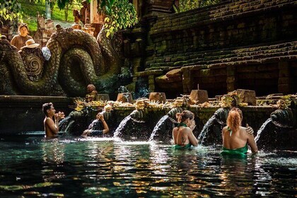 Bali Sacred Water Temple, Penglipuran Village & Waterfall Tour