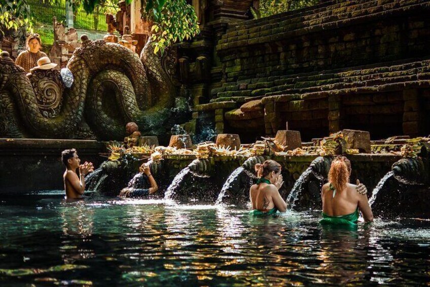 Bali Sacred Water Temple, Penglipuran Village & Waterfall Tour