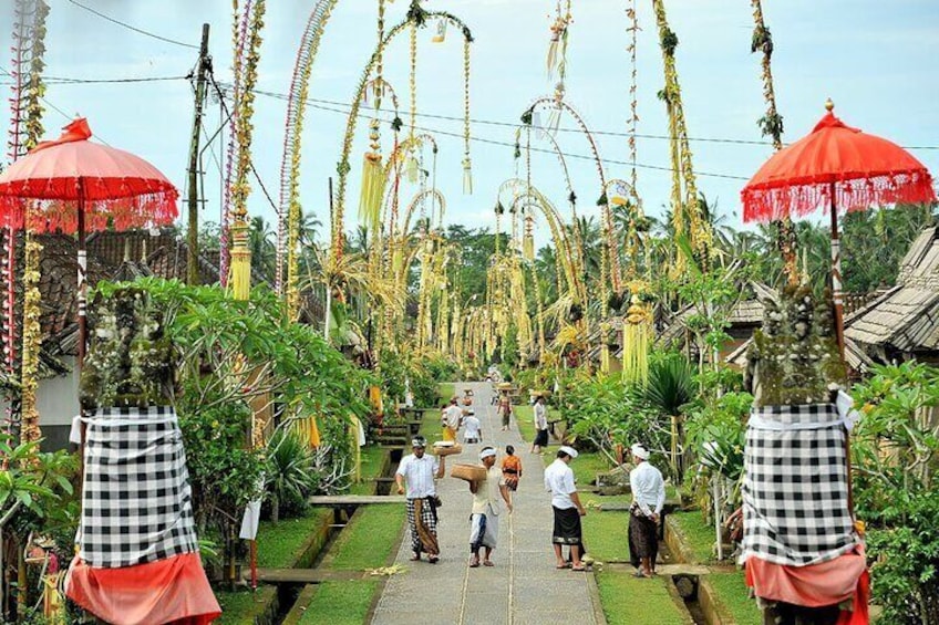 Penglipuran Village and Tibumana Waterfall Private Tour