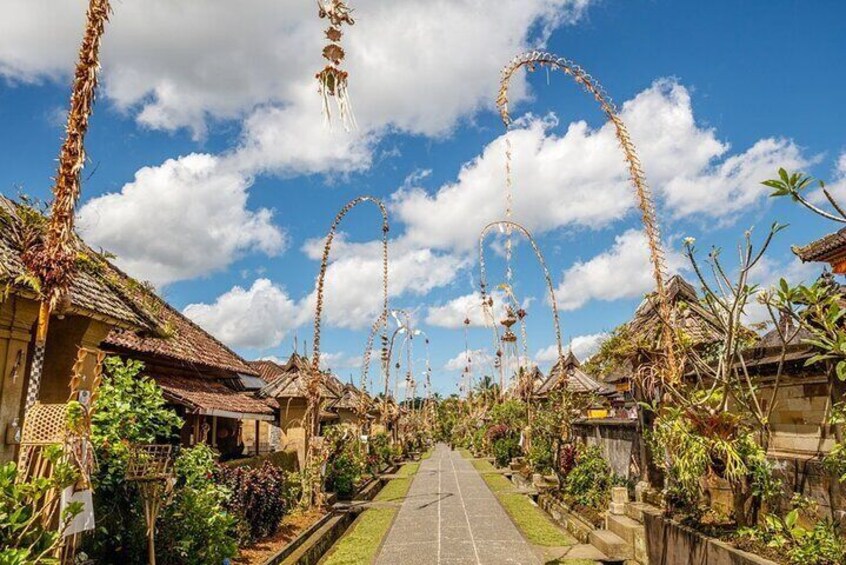 Bali Tour: Water Temple, Penglipuran Village and Waterfall