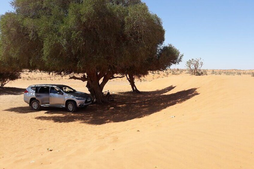 National Park Privat safari Tour from Agadir and Taghazout