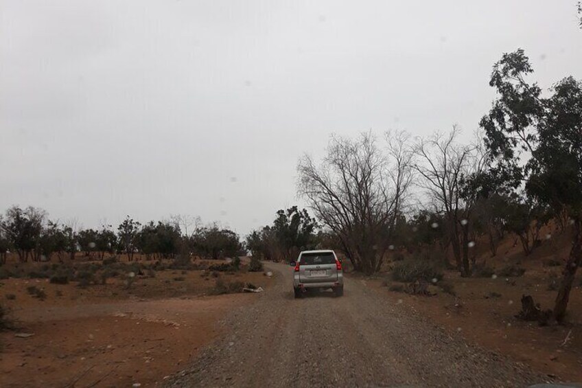 National Park Privat safari Tour from Agadir and Taghazout