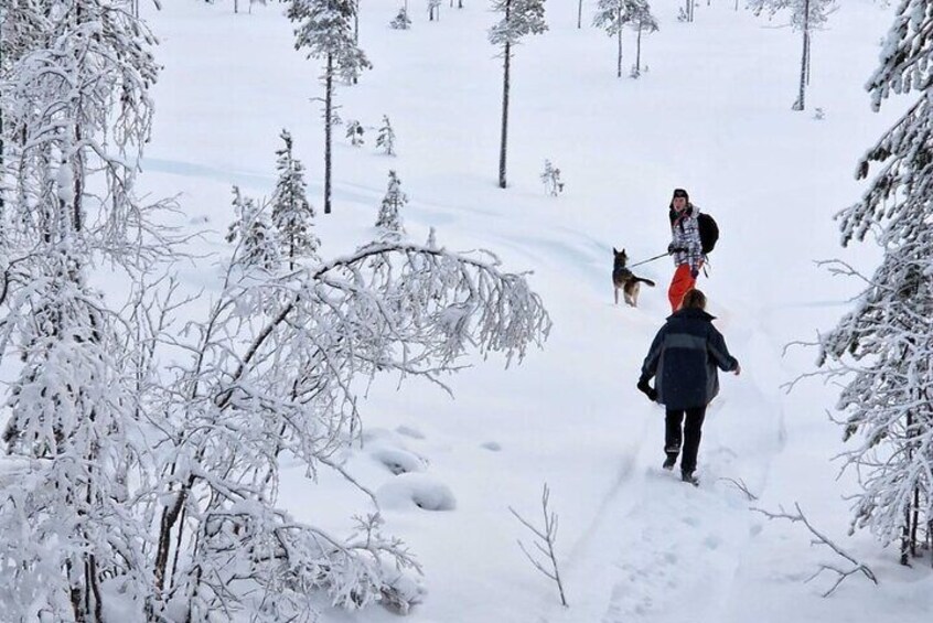 Husky Hike, Snowshoe hike with huskies