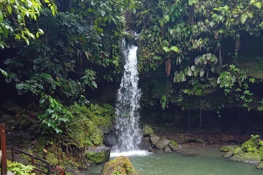 Private Dominica Tour to Titou Gorge via Minibus