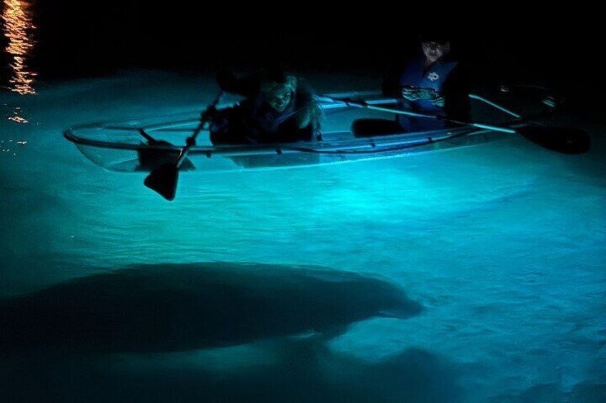 Crystal River Sunset and Glow Clear Kayak Manatee Tour