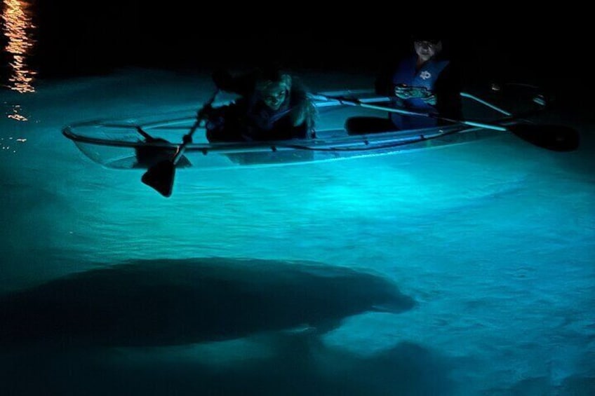 Crystal River Sunset and Glow Clear Kayak Manatee Tour