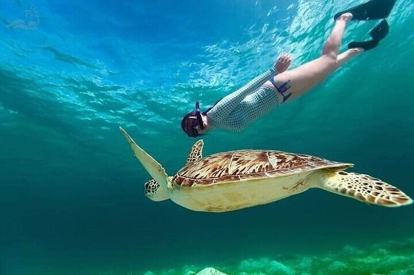 Bali Snorkeling at Blue Lagoon Padangbai