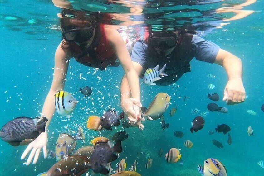 Bali Best Snorkeling at Blue Lagoon Tour with Lunch
