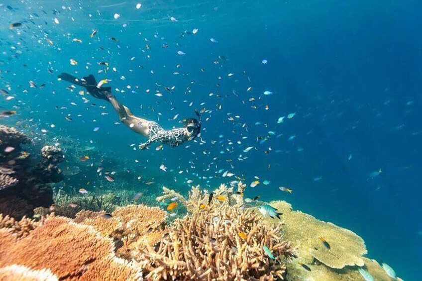 Snorkeling in Bali: Explore Marine Life at Blue Lagoon