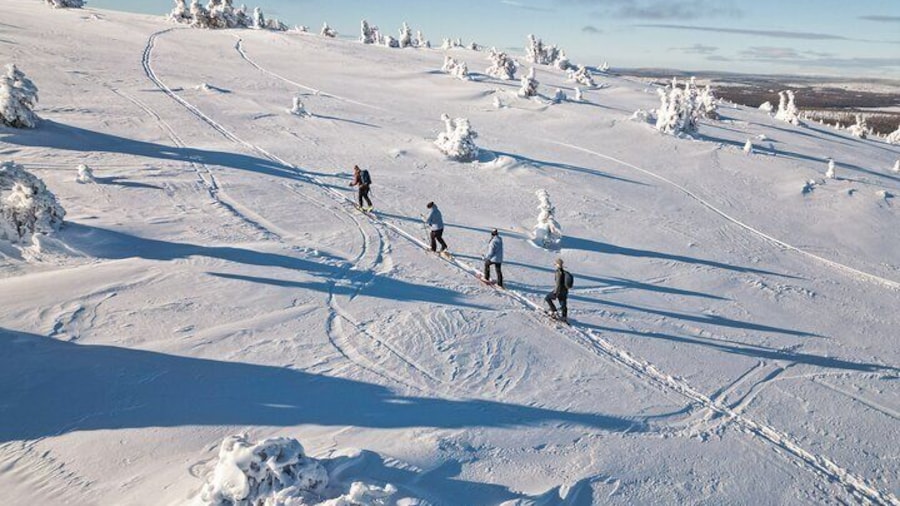 Lapland Wilderness Adventure – Explore Wild Arctic Trails