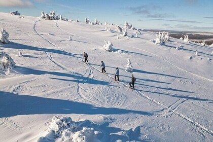 Lapland Snowshoe Adventure – Explore Wild Arctic Trails