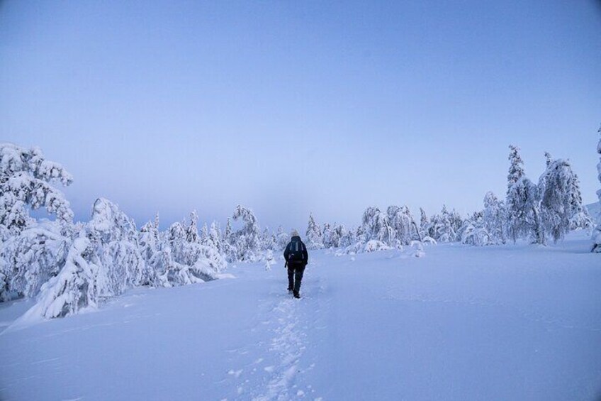 Private Arctic Photography Tour and Finnish Lapland Adventure