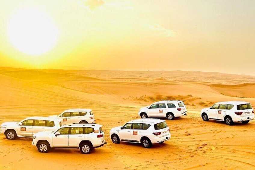 Dubai Desert Safari with Premium Camp & Live Buffet