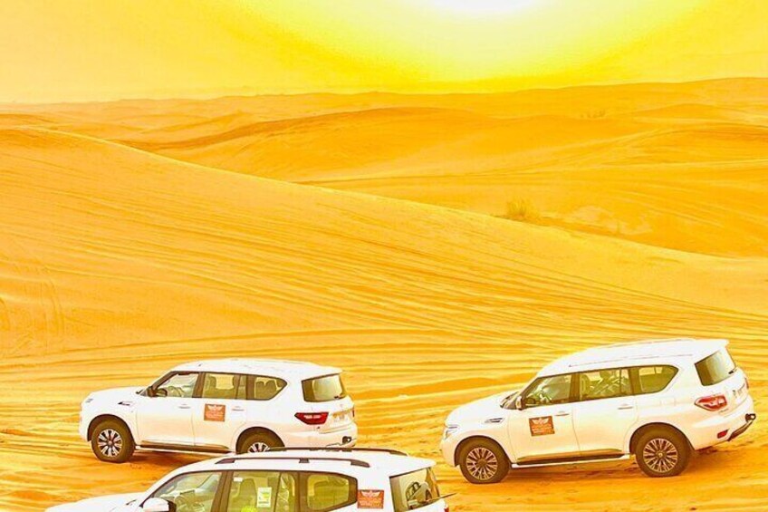 Premium Desert Safari With Luxury Camp and Live Buffets