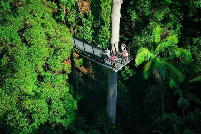 Rainforest Sky Walk 