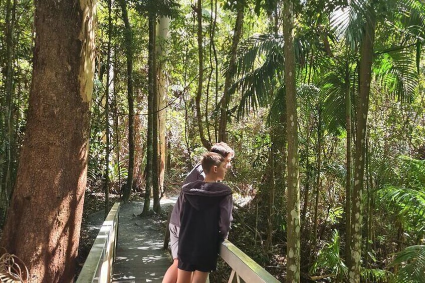 Rainforest Sky Walk 