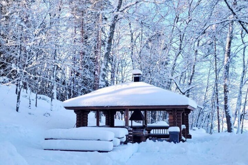 Learn How to Cook Salmon Soup in the Magical Finnish Forest