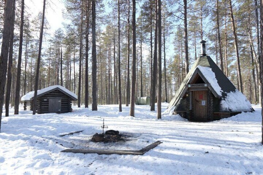 Learn How to Cook Salmon Soup in the Magical Finnish Forest