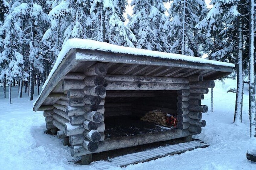 Learn How to Cook Salmon Soup in the Magical Finnish Forest