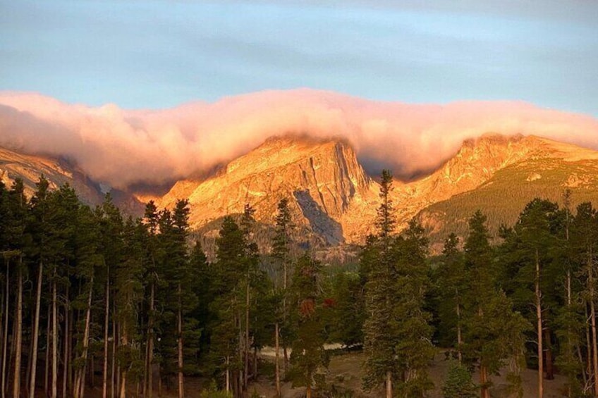 Rocky Mountain National Park: 4 hr Private Wildlife Driving Tour