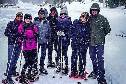 Private Snowshoe Tour in Rocky Mountain National Park (seasonal)