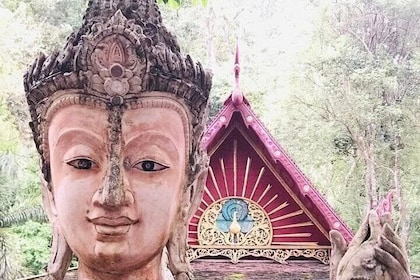 1 Day Chiangmai Walking and Sightseeing Tours