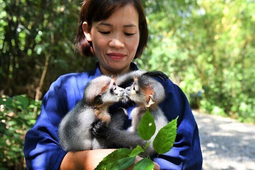 Ninh Binh One Day Cuc Phuong National Park Small Group Tour