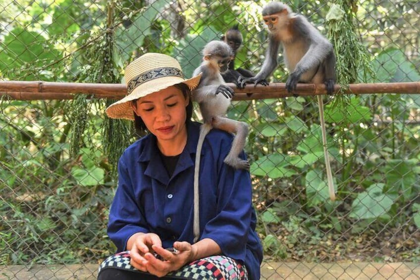 Ninh Binh One Day Cuc Phuong National Park Small Group Tour