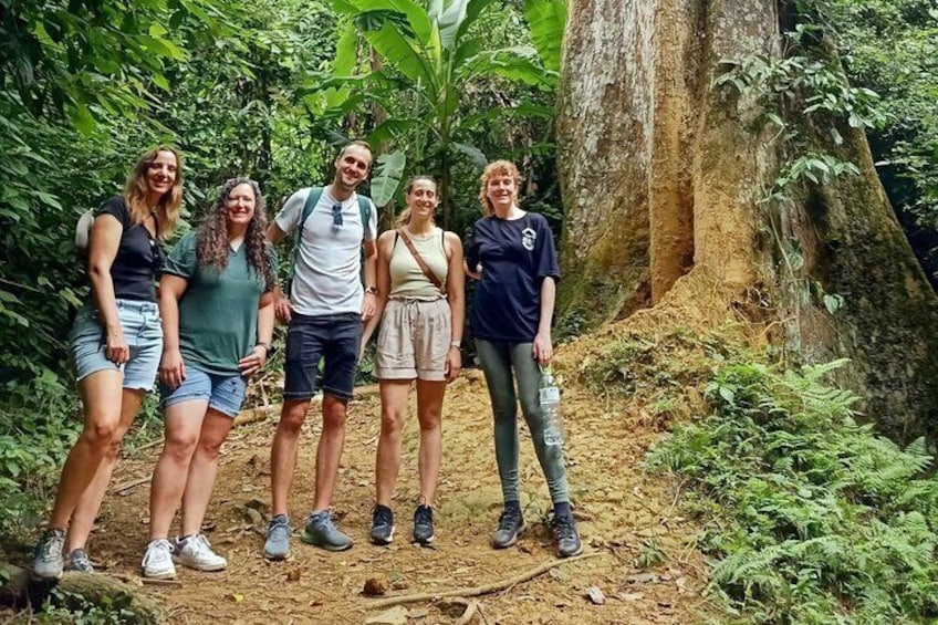 Ninh Binh One Day Cuc Phuong National Park Small Group Tour