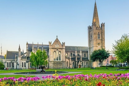 Dublin Discovery: Full-Day Private Tour