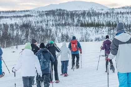 Norway Troms Snowshoe Activity with Guided Tour