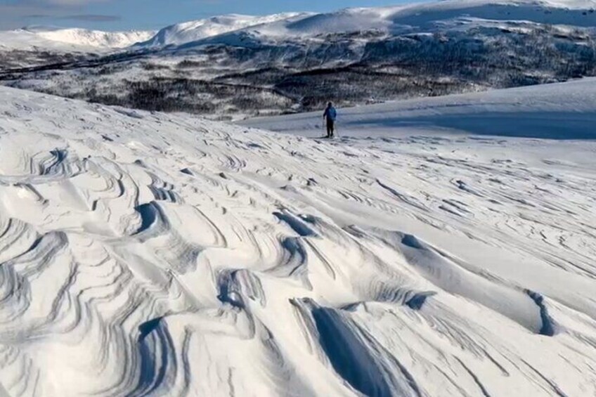 Norway Troms Snowshoe Activity with Guided Tour