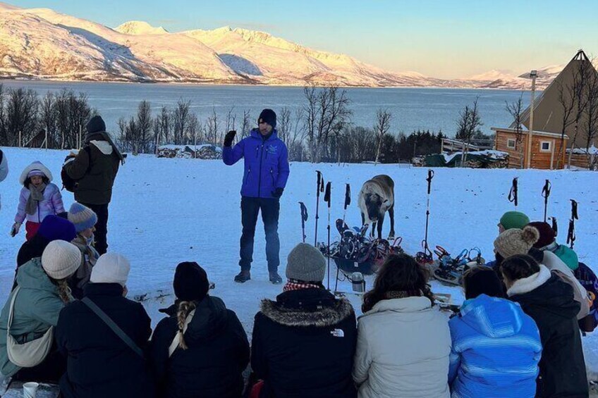 Norway Troms Snowshoe Activity with Guided Tour