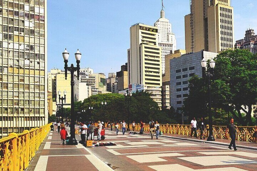 Sao Paulo Downtown Private Walking Tour with Optional Car Pickup