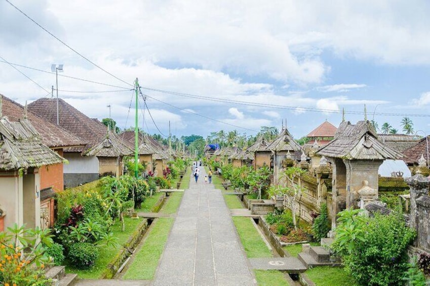 Private Tour Besakih Mother Temple, Waterfall with Transfers