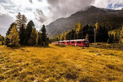 From Milan: Bernina Express Day Trip to Tirano & St. Moritz