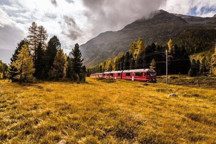 From Milan: Bernina Express Day Trip to Tirano & St. Moritz