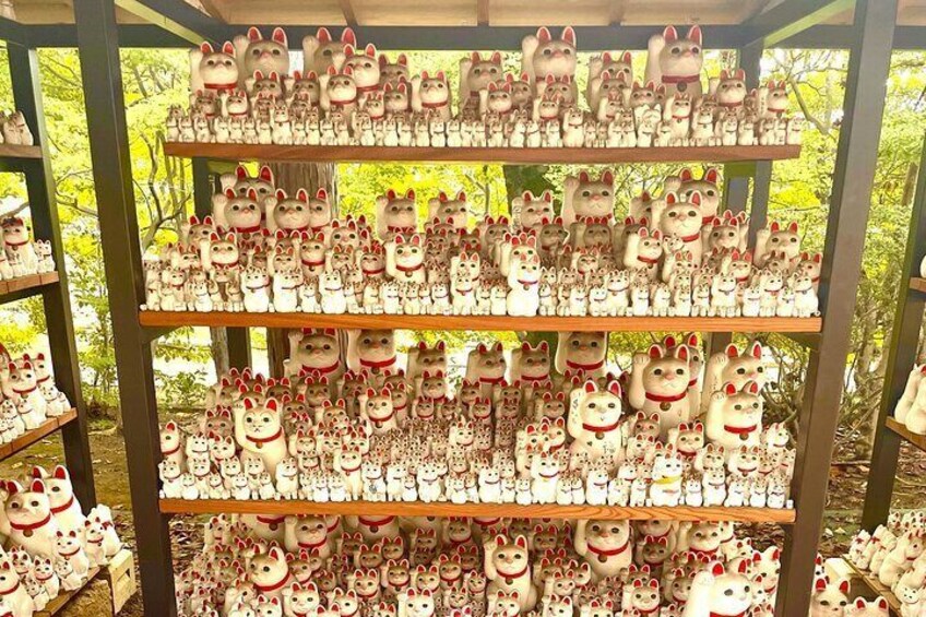 Gotokuji Cat Temple Shinjuku Cat Cafe and 3D Cat Tour