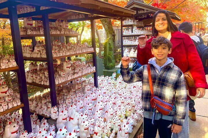 Tokyo: Gotokuji Lucky Cat Temple, Shinjuku Cat Cafe, 3D Giant Cat