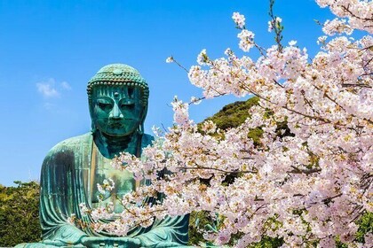 Kamakura Kotoku-in Temple and Enoshima Day Tour from Tokyo