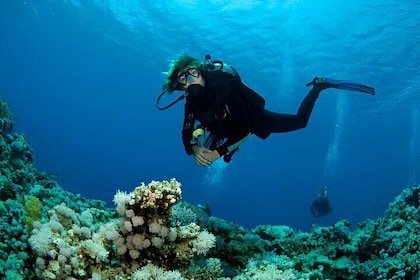 Intro Scuba Diving for Beginners in Sharm El-Sheikh