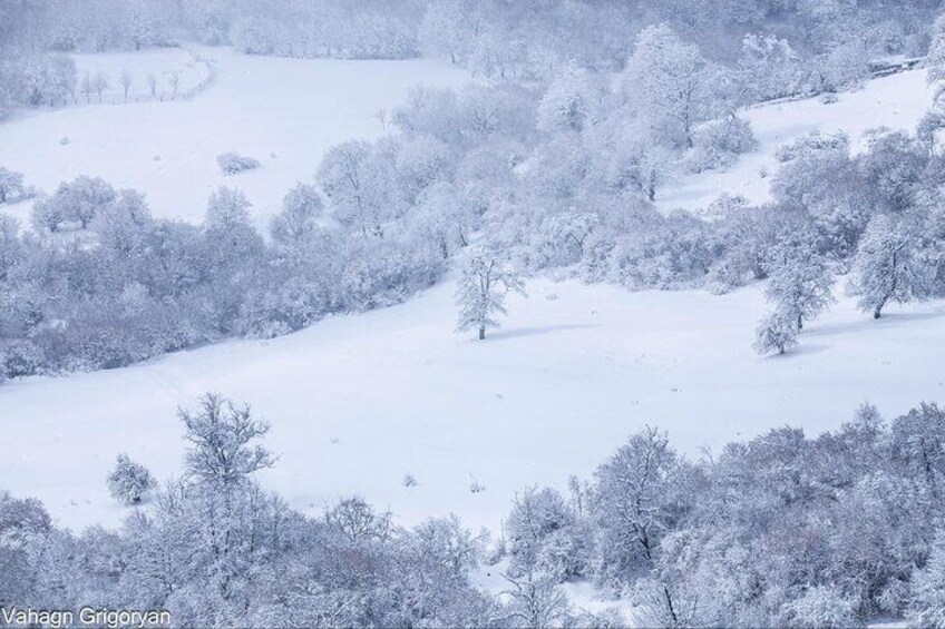 Winter Wonderland Snow Adventure in Tsaghkadzor and Lake Sevan