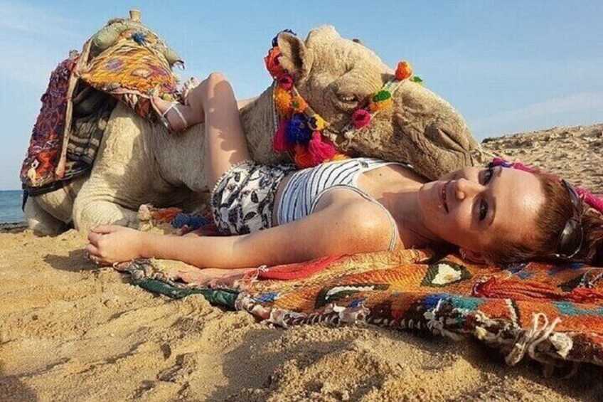 One Hour Camel Ride in Palmeraie Grove with Transfer - Marrakesh