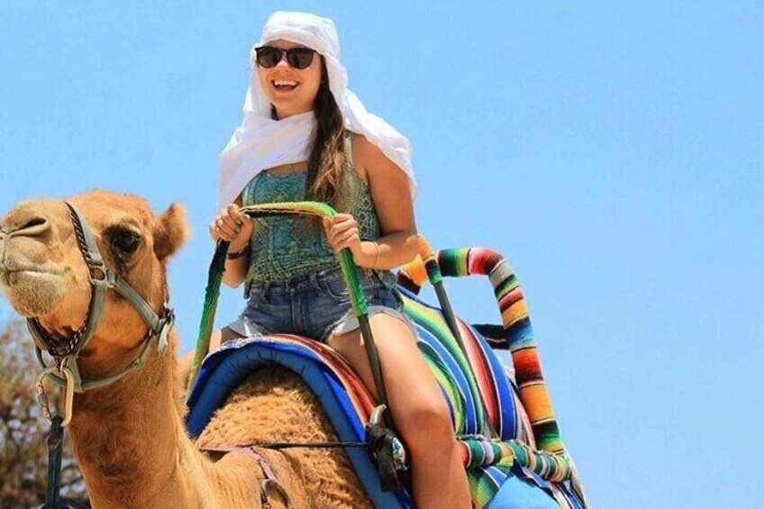 One Hour Camel Ride in Palmeraie Grove with Transfer - Marrakesh