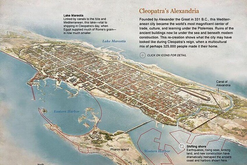 Alexandria Day tour from Alexandria