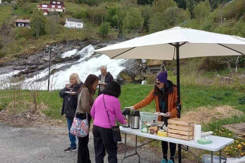 Picnic